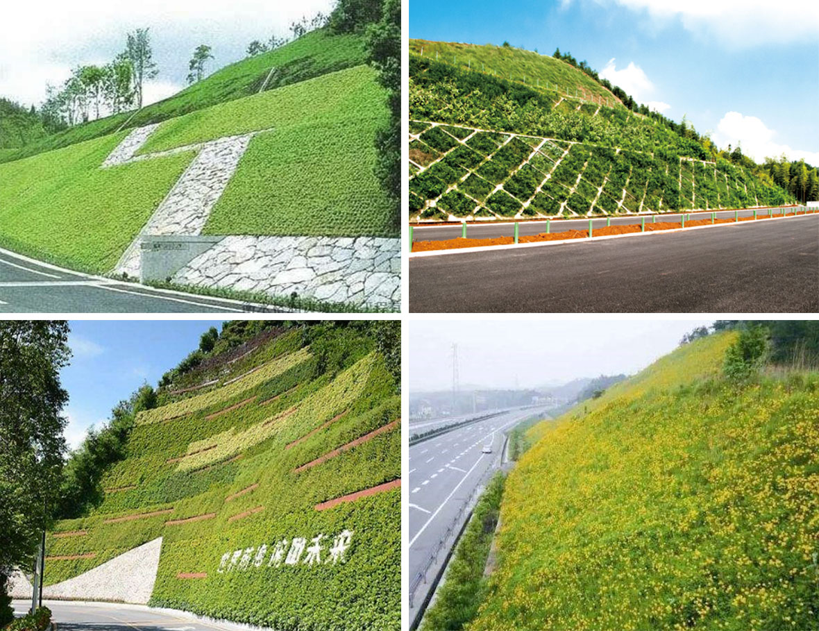 边坡挡墙美化 斜坡绿化设计图__景观设计_环境设计_设计图库_昵图网nipic.com