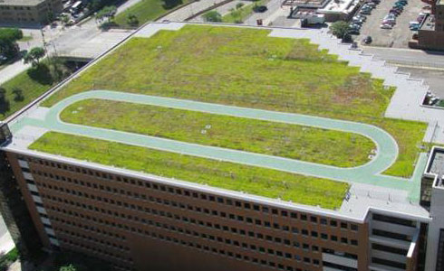学校屋顶绿化