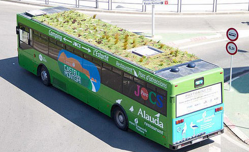 公交车车顶隔热绿化