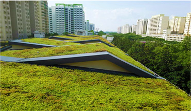 进口屋顶绿化技术