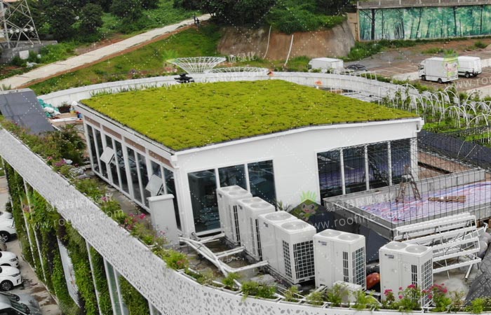 植己美好生活体验馆屋顶绿化