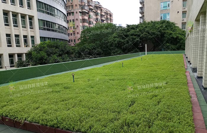广州天河区机关事务管理局楼顶绿化项目