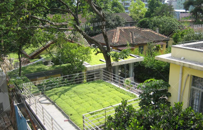 节能环保的隔热方式-屋顶绿化