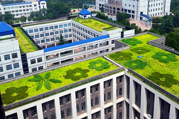 城市生态之路------屋顶绿化
