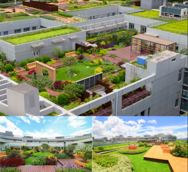 屋顶绿化助推中国“绿色医院”建设