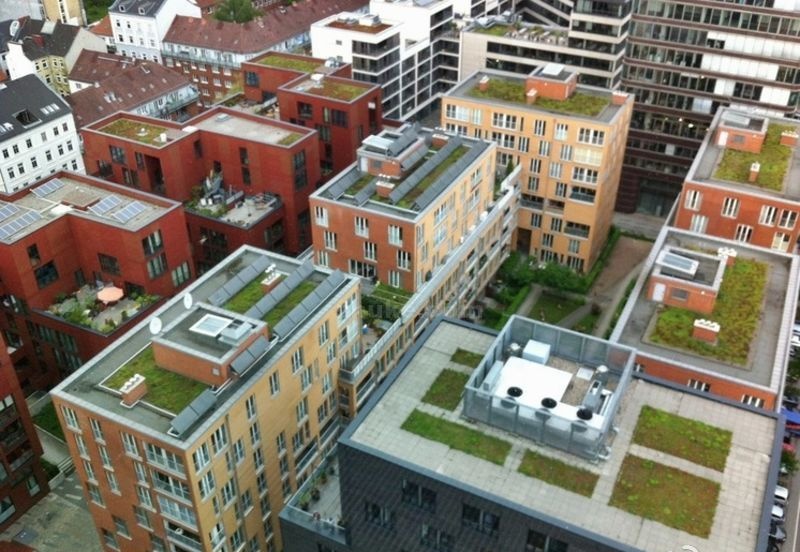 什么叫做生态屋顶绿化？