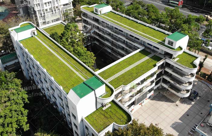 校园建筑屋顶绿化改造全攻略，让您的学校屋顶也绿起来吧！