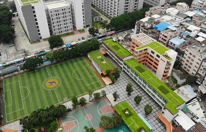 广州市海珠区赤沙小学屋顶绿化项目