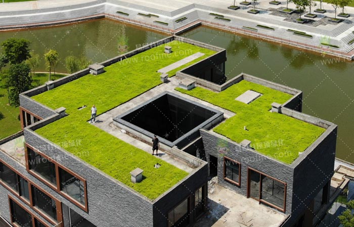 易绿谷告诉你：屋顶绿化需要注意哪些事项？