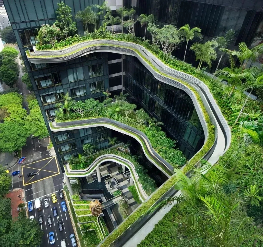 建筑3D立体绿化，让城市能绿尽绿，能彩就彩！！！