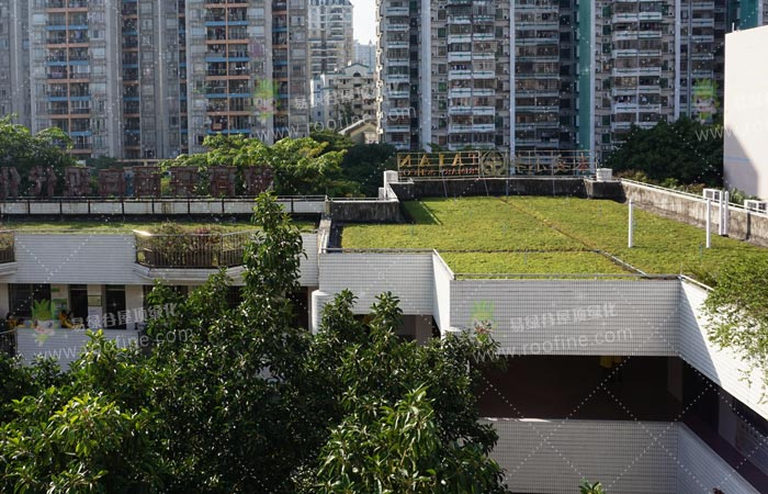 屋顶绿化设计中需要考虑哪些问题